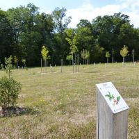 Arboretum