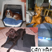 Can'Hap