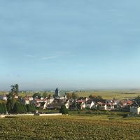 Oger vue des vignes