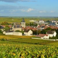 Oger - vue des vignes