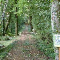 Sentier forestier pédagogique