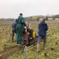 Vignes de la MFR