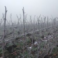 En hiver 2022 Vertus