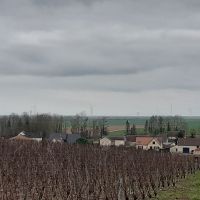 Vignes Voipreux