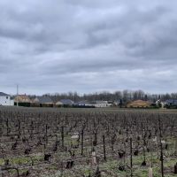Vignes Voipreux